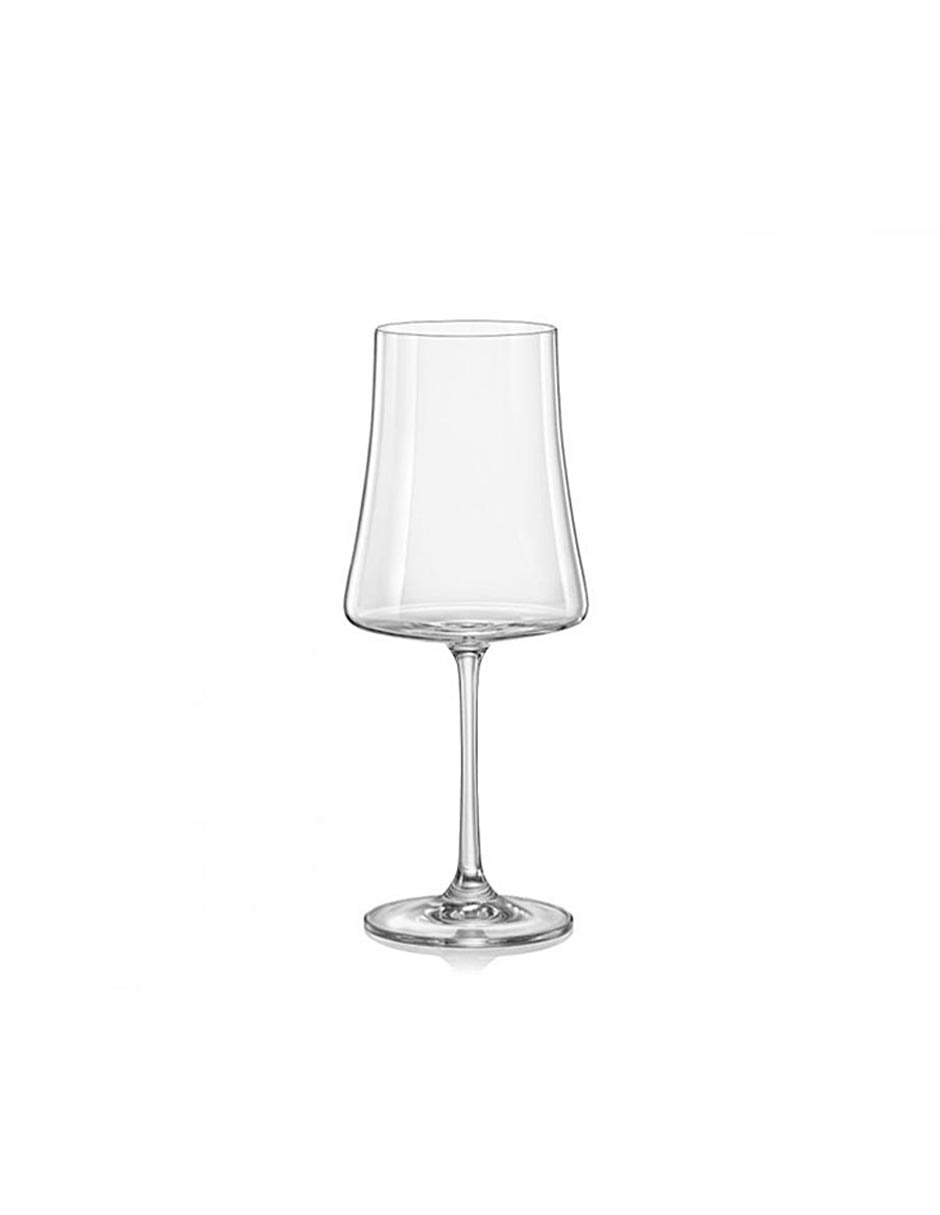 Copa para vino tinto