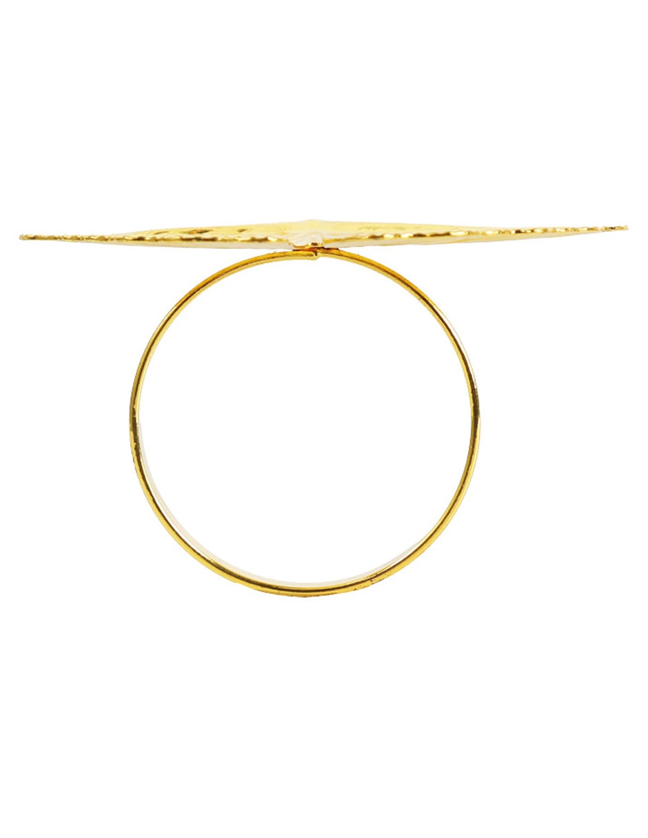 Set aro servilleta Golden Leaves