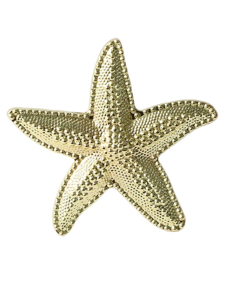 Set aro servilleta N Narrative Starfish