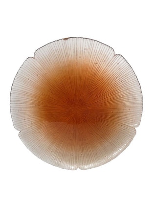 Plato base de vidrio Plato base de vidrio
