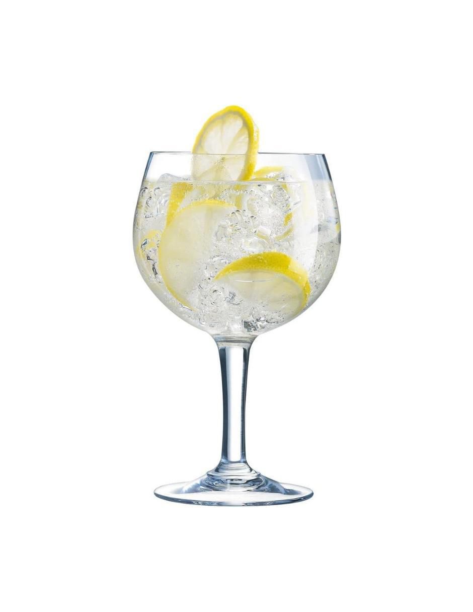 Set de copas para gin Juniper de vidrio 6 piezas