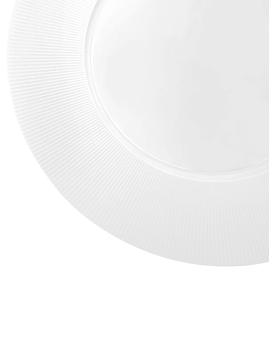 Plato trinche rayon de porcelana 2