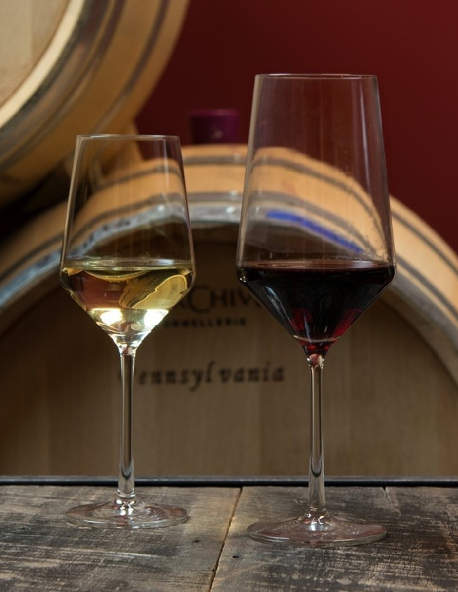 Copa para vino pure de vidrio