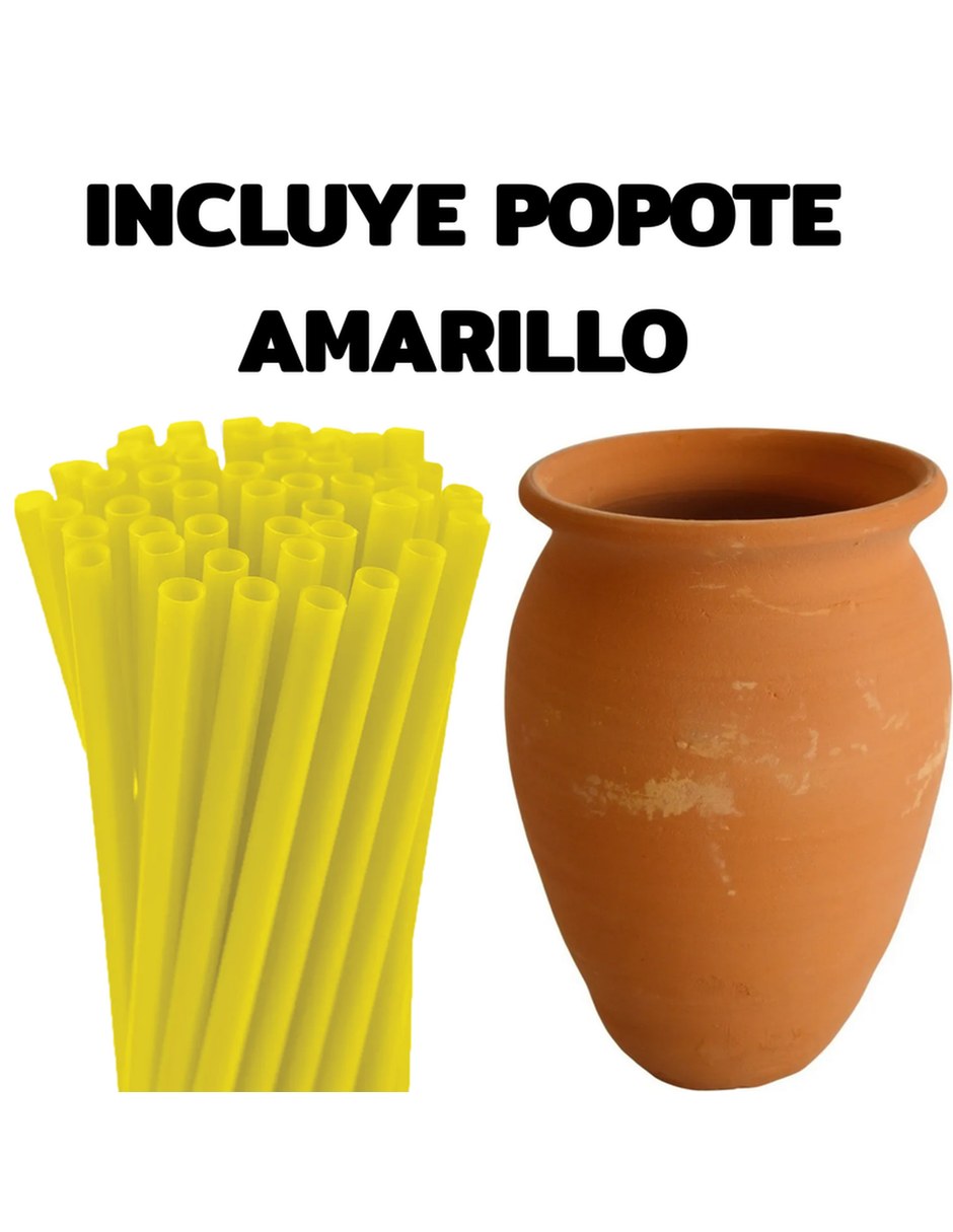 Vaso Tequilero de Arcilla roja con 15 piezas piezas 10